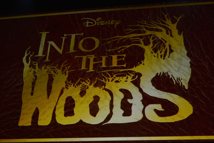 Photo of Elenco completo de "Into the Woods" é divulgado