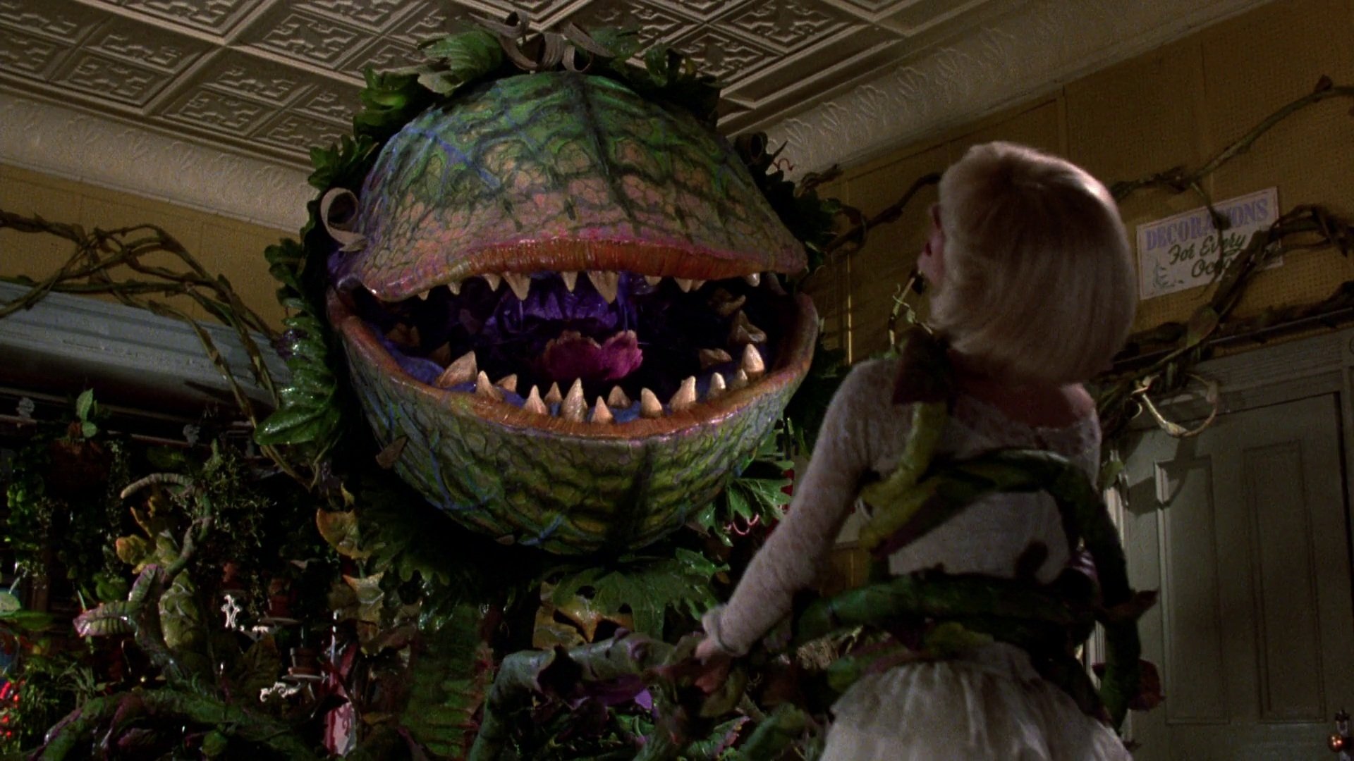 Photo of “Little Shop of Horrors” ganhará remake